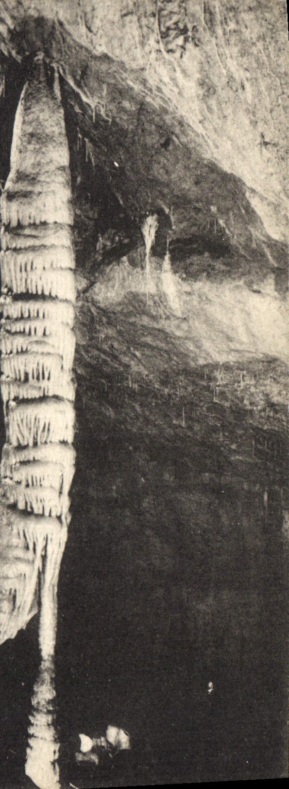 CPA Grotte Grottes Dargilan La Quenouille