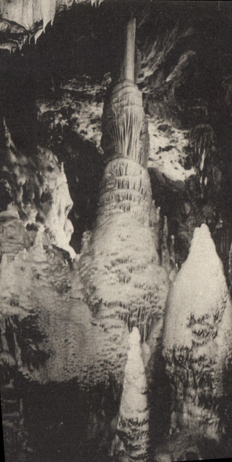 Vintage Postcard Cave Dargilan Caves the mosque