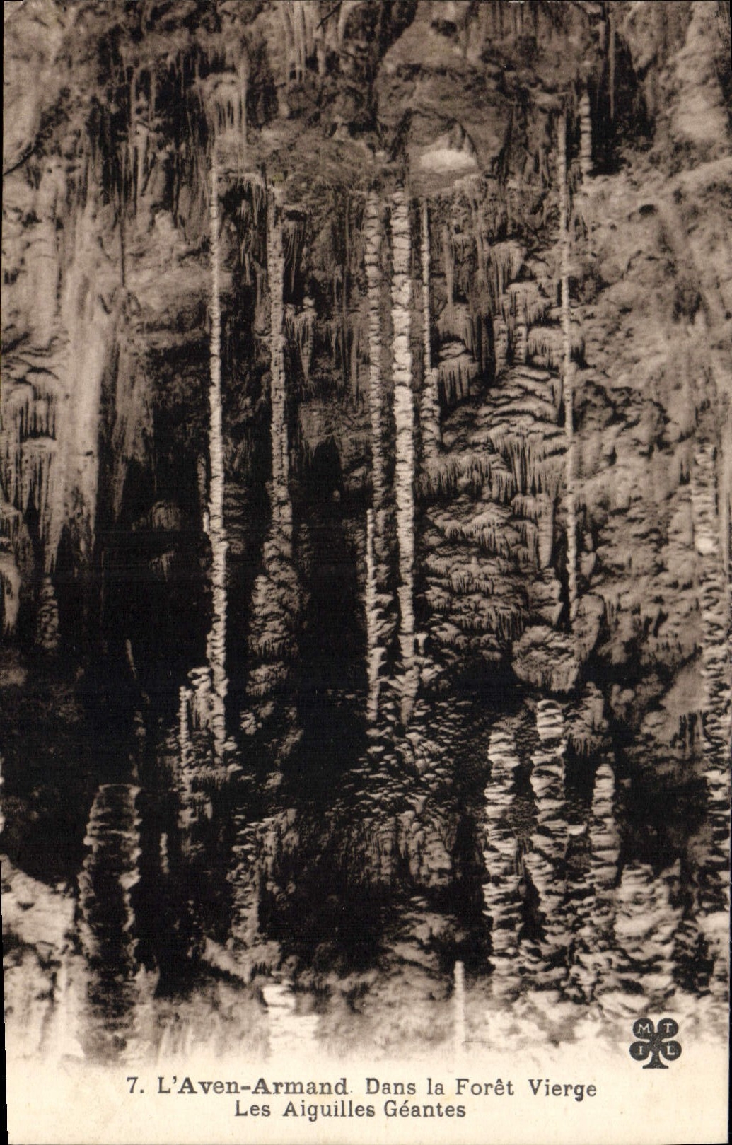 Vintage Postcard Cave Caves the Swallow-hole Armand in the virgin forest giant needles