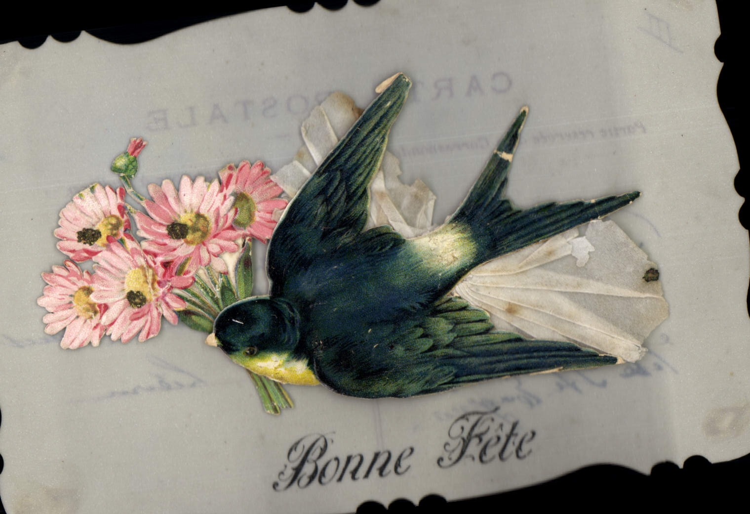 Vintage Postcard Fantasy transparent Chart Flowers Swallow