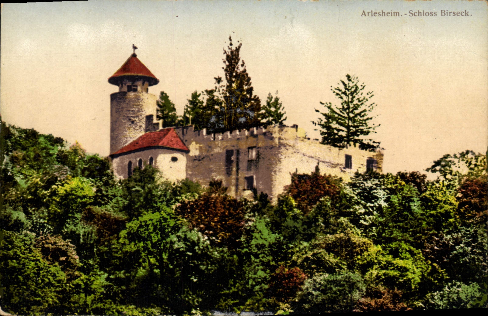 Vintage Postcard Castle Arlesheim Schloss Birseck