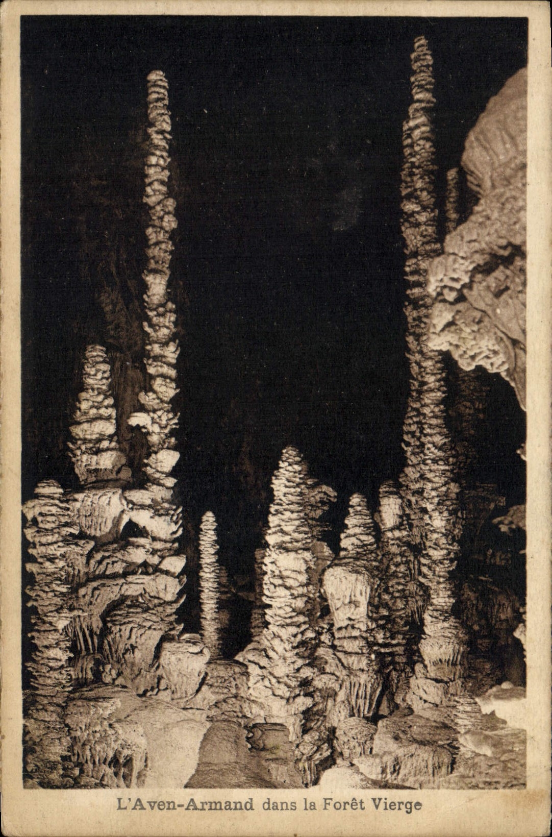 Vintage Postcard Caves the Swallow-hole Armand in the Virgin forest