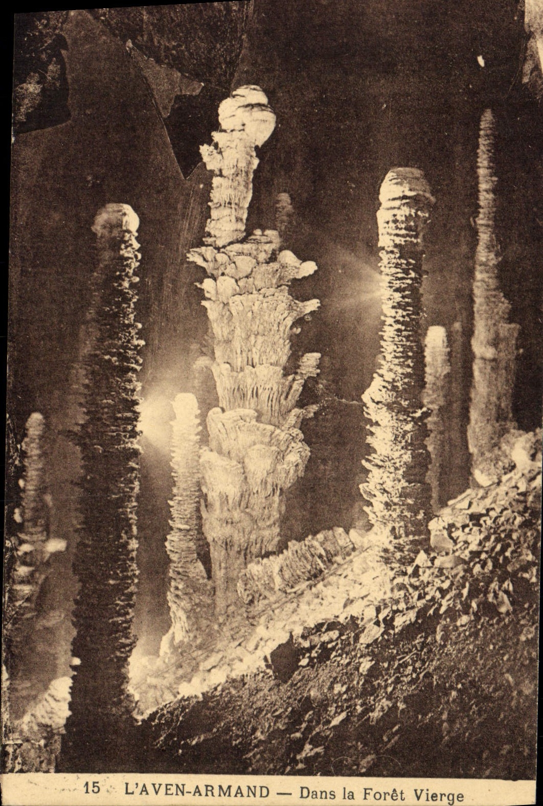 CPA Grottes L'Aven Armand Dans la foret vierge