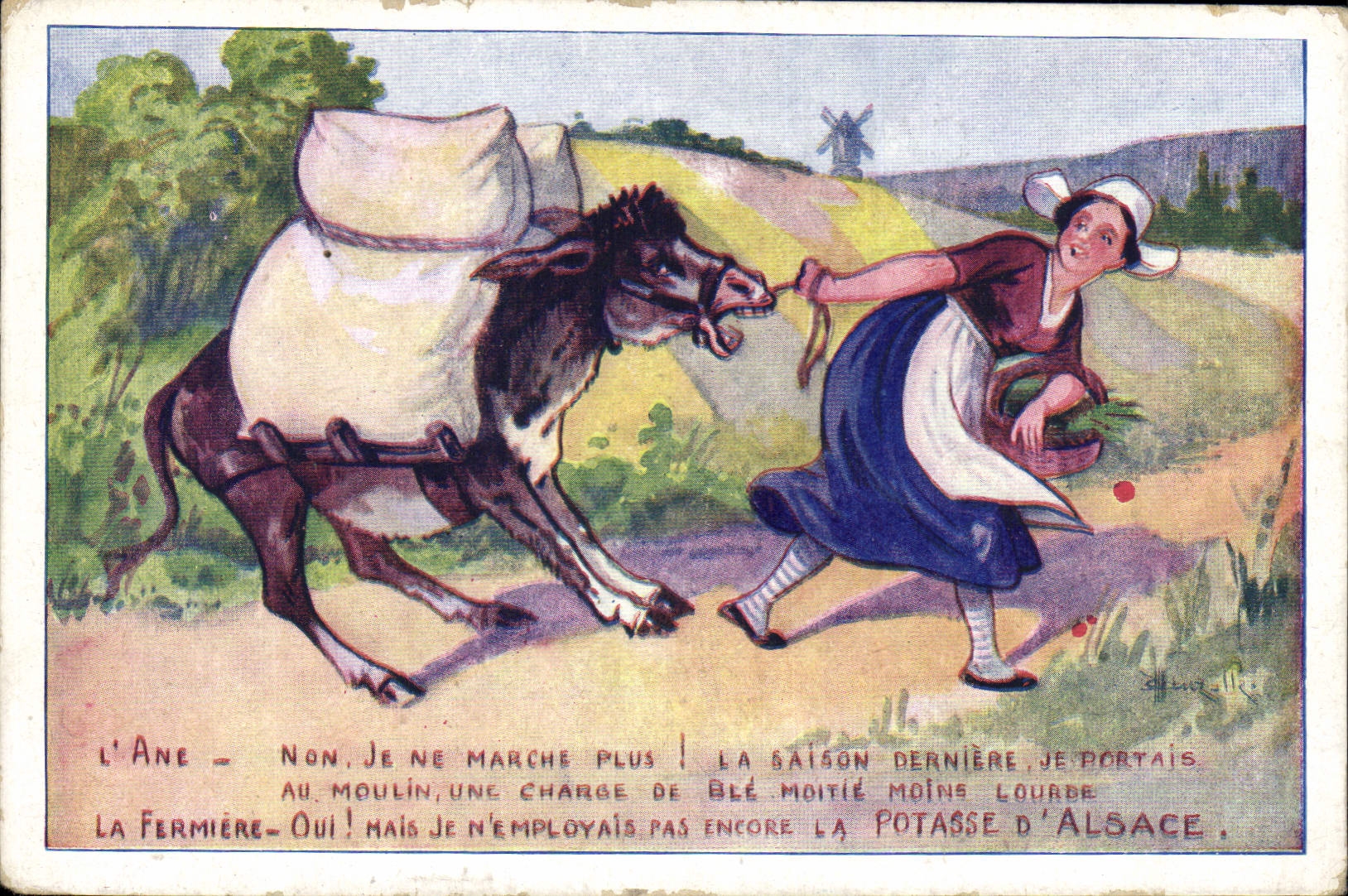 Vintage Postcard Publicite Mugs up of Alsace Ane Mule