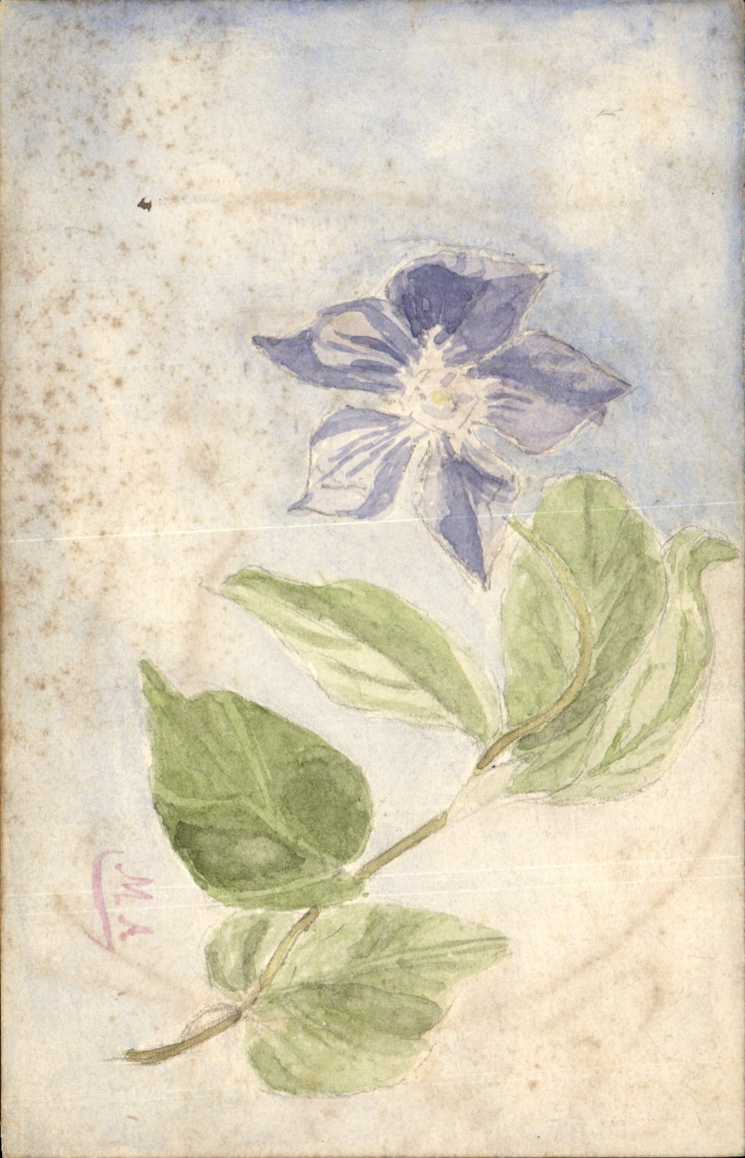 CPA Fantaisie (dessin a la main) Fleurs 