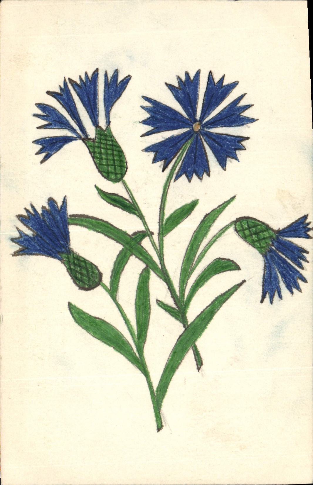 CPA Fantaisie (dessin a la main) Fleurs