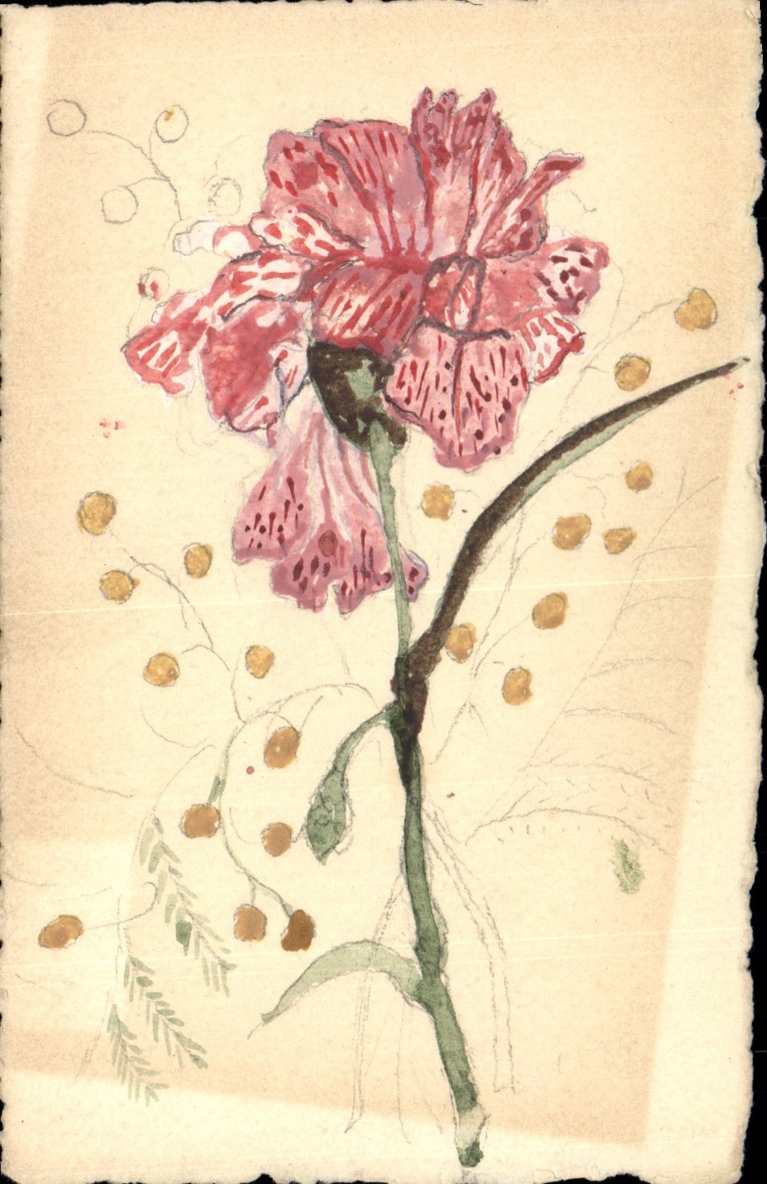 CPA Fantaisie (dessin a la main) Fleurs