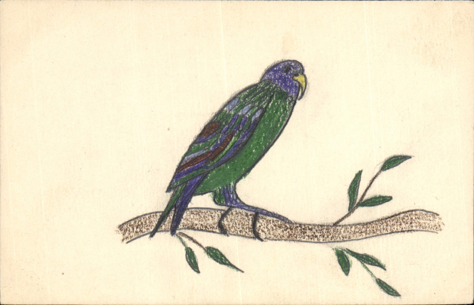 CPA Fantaisie (dessin a la main) Oiseau