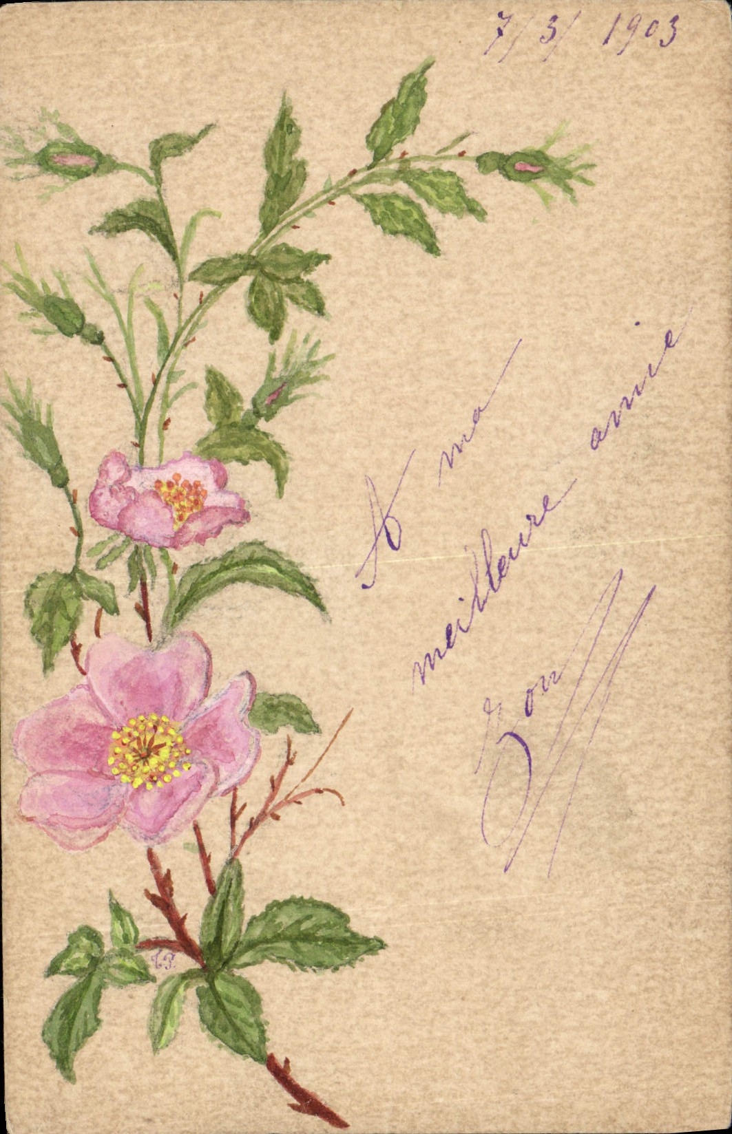 CPA Fantaisie (dessin a la main) Fleurs