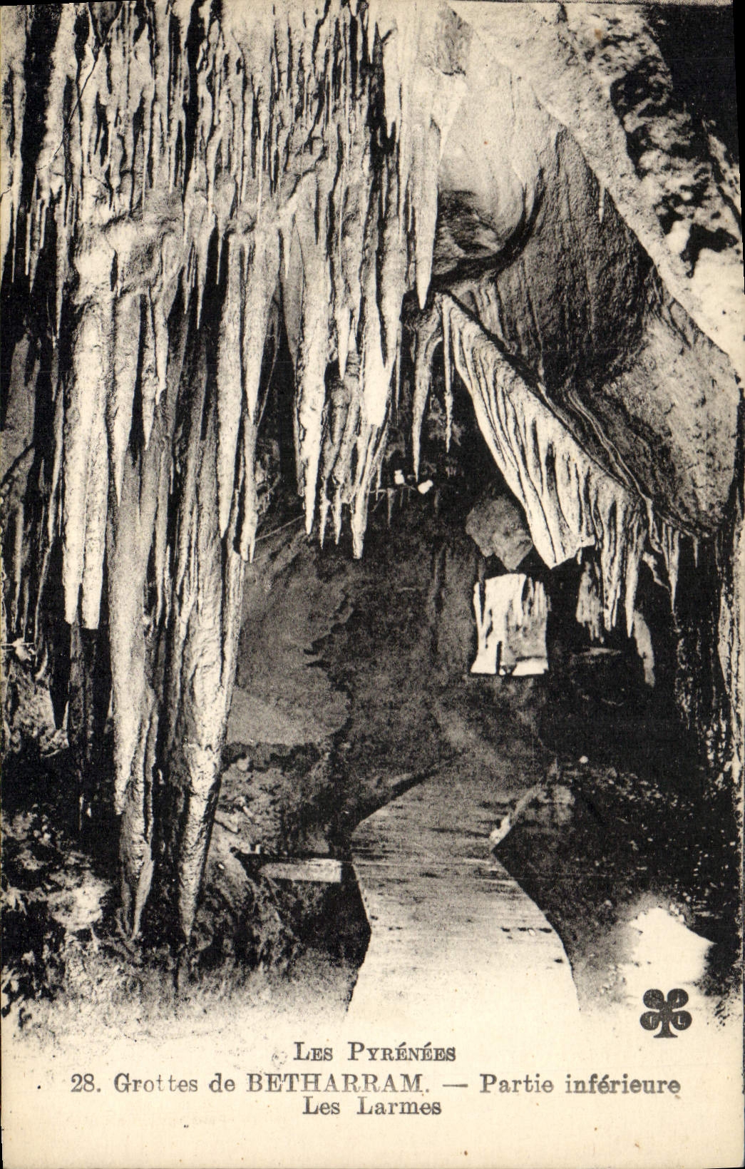 Vintage Postcard Caves of Betharram Lower part tears