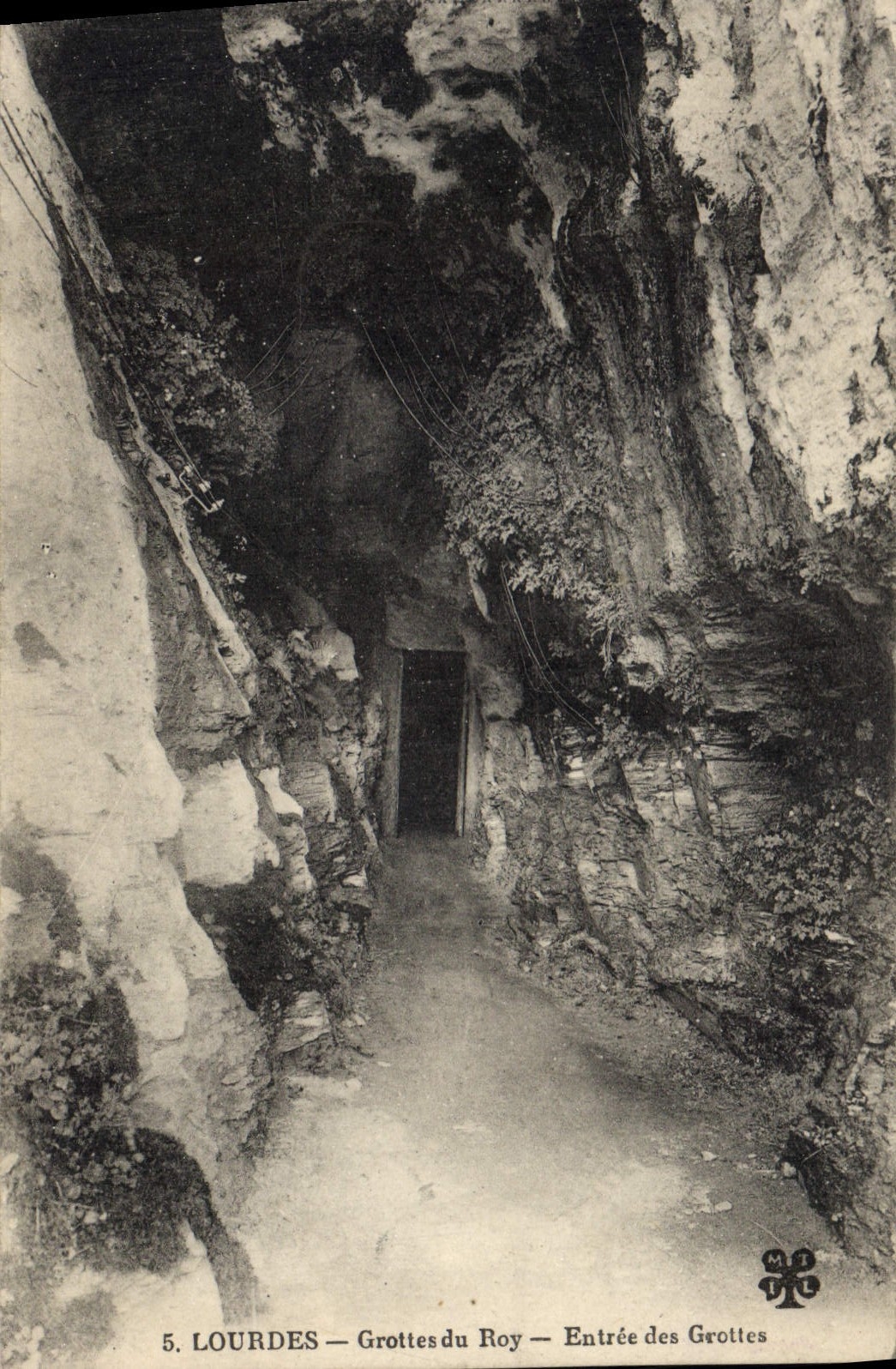 Vintage Postcard Heavy Caves Caves of Entered Roy of the caves