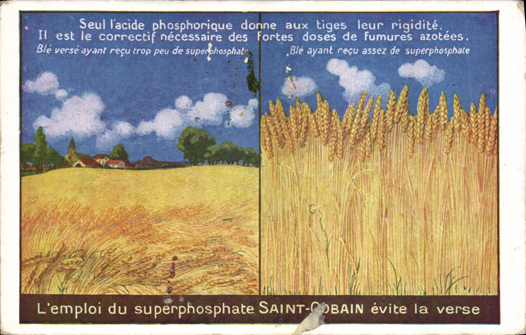 Vintage Postcard Publicity Holy Superphosphate Gobain