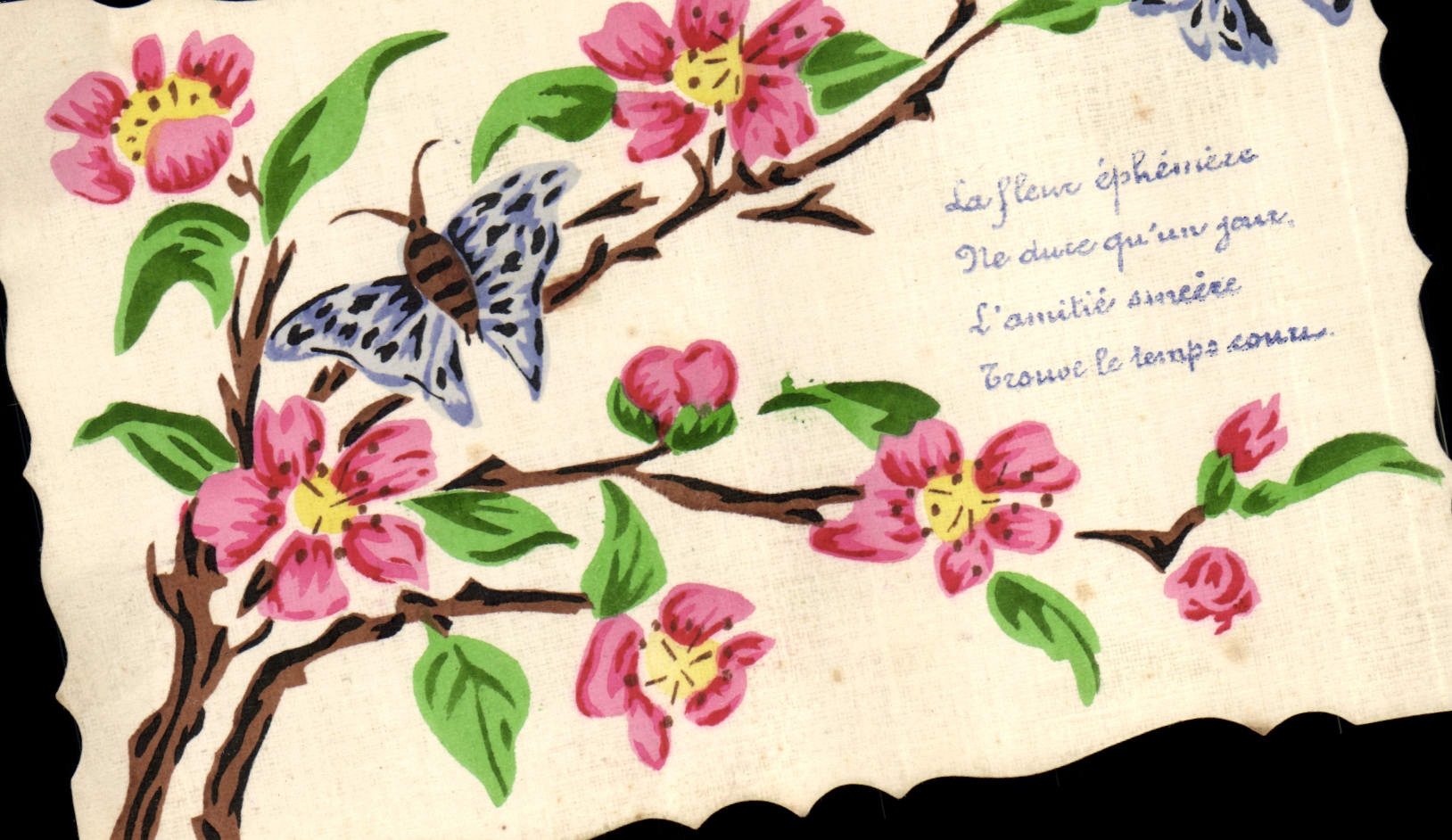 Vintage Postcard Fantasy Flowers Butterflies (drawing has the hand)