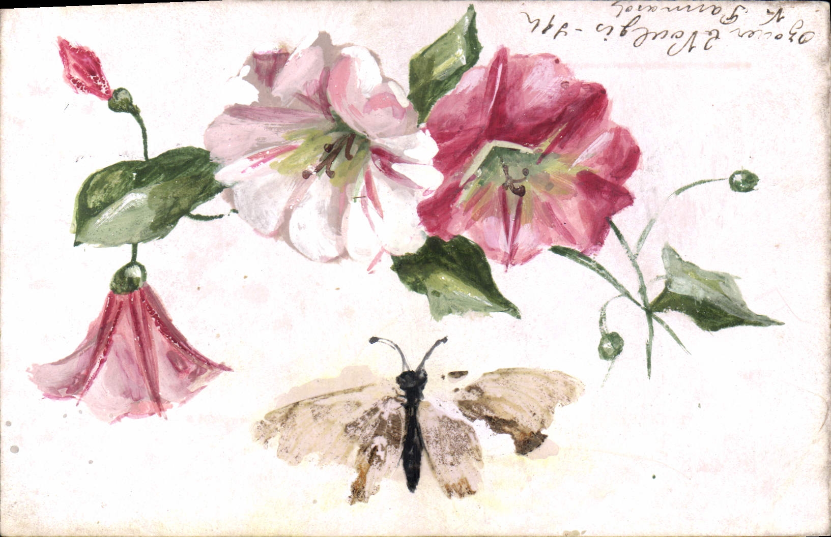 Vintage Postcard Fantasy Flowers Butterfly (drawing has the hand)