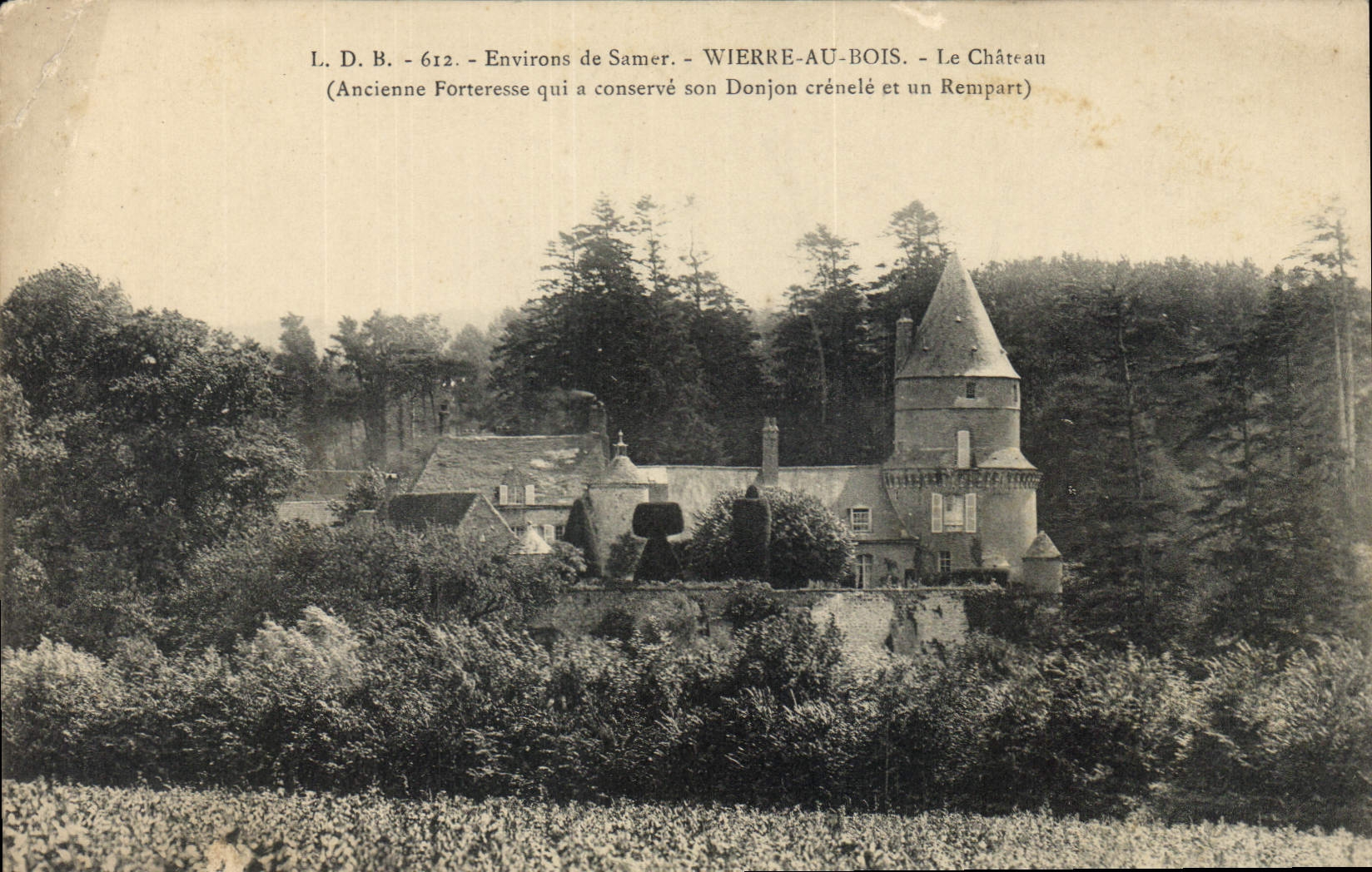 Vintage Postcard Castle Surroundings of Samer Wierre to Wood