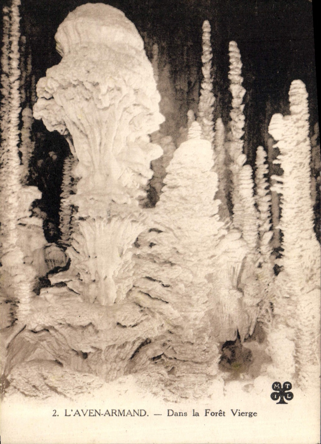 CPA Grotte Grottes L'Aven Armand Dans la foret vierge