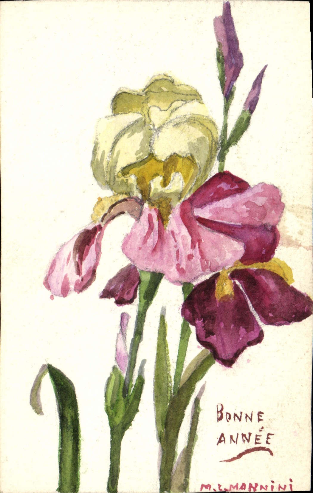 CPA Fantaisie (dessin a la main) Fleurs 