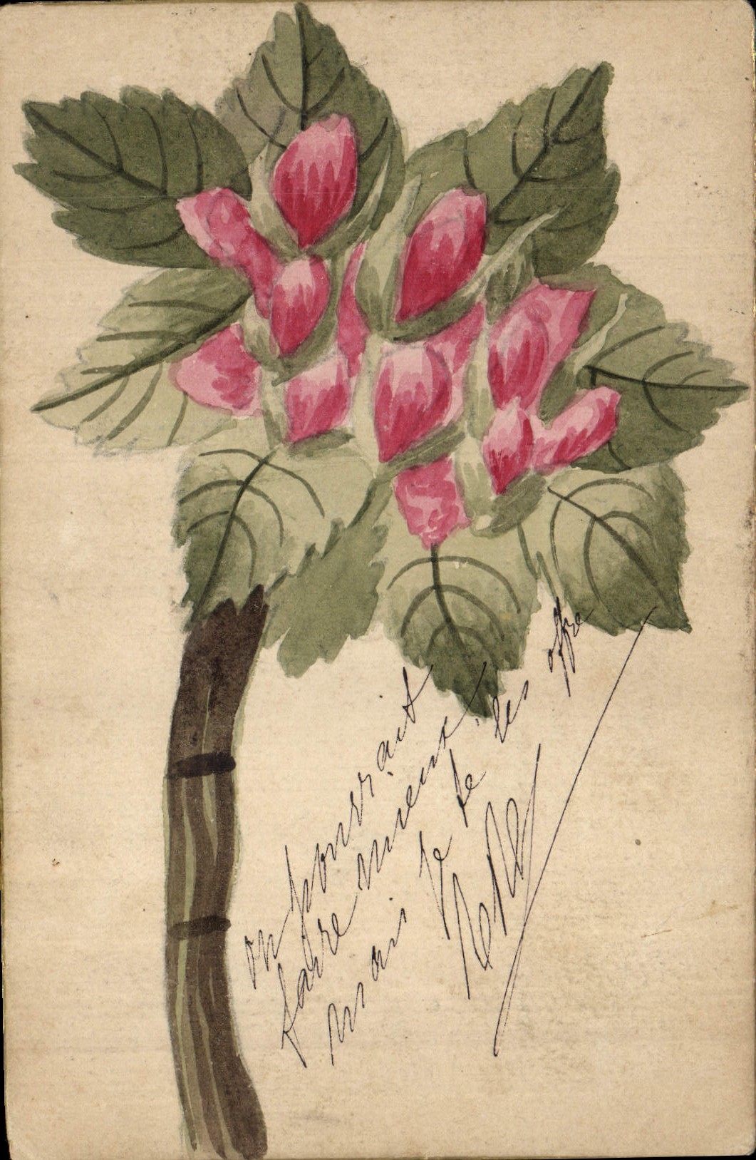 CPA Fantaisie (dessin a la main) Fleurs 