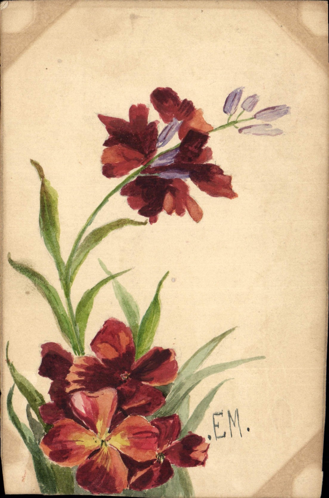 CPA Fantaisie (dessin a la main) Fleurs 