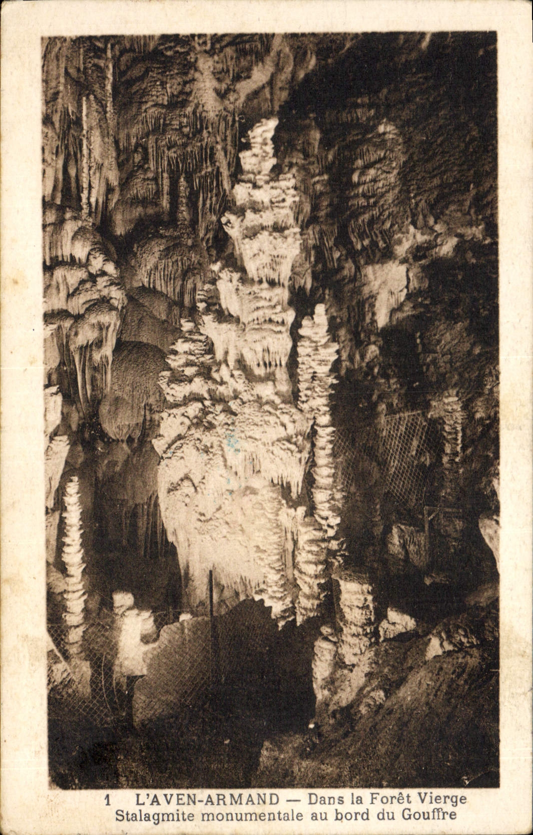 CPA Grotte Grottes L'Aven Armand Dans la foret vierge Stalagmite monumentale au bord du gouffre 