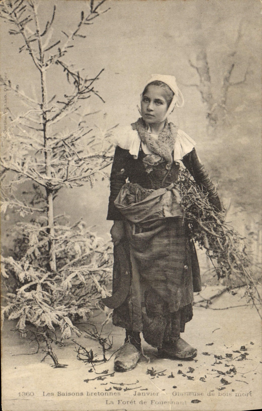 CPA Folklore Les saisons bretonnes Janvier Glaneuse de bois mort La foret de Fouesnant