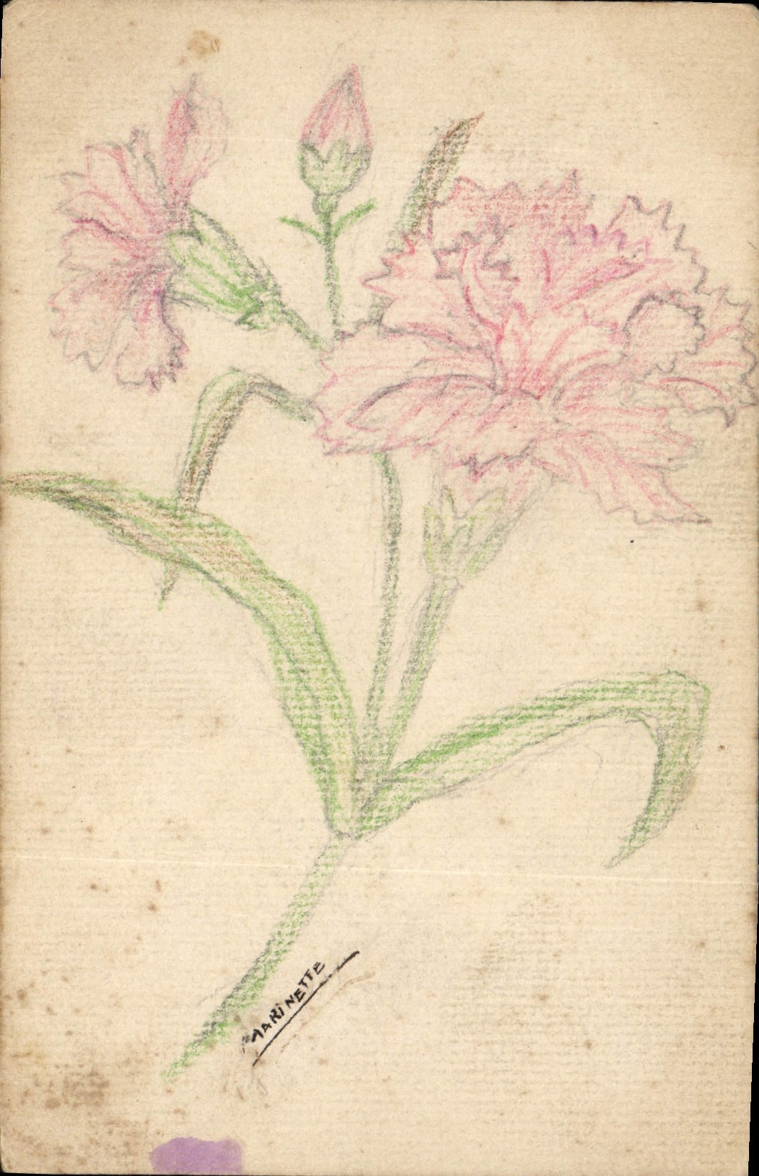 CPA Fantaisie (dessin a la main) Fleurs 