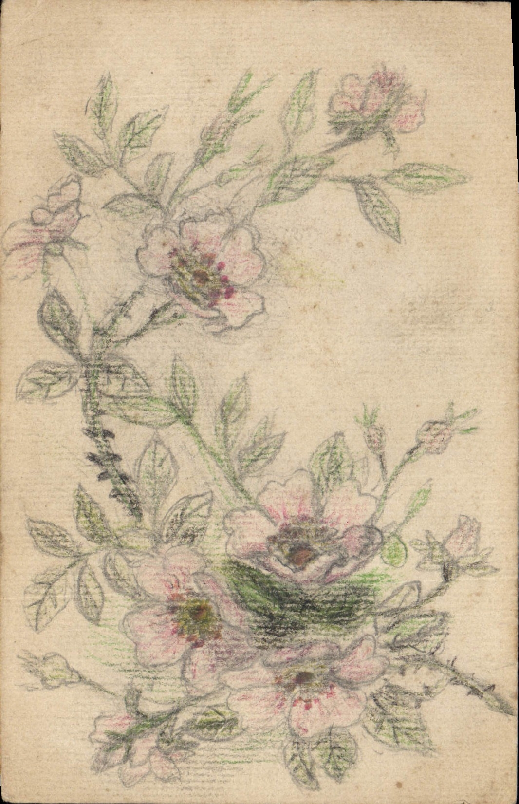 CPA Fantaisie (dessin a la main) Fleurs