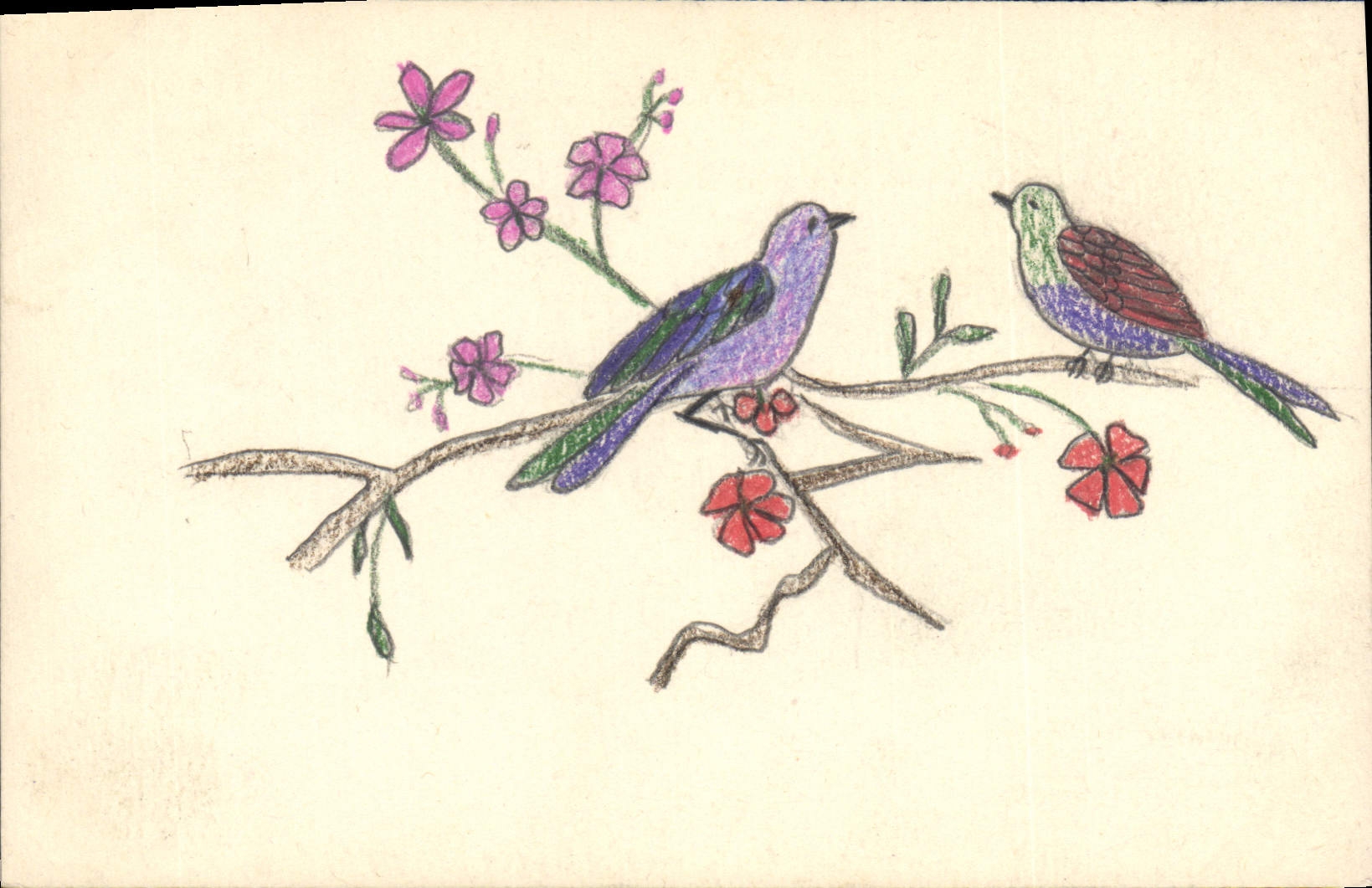 CPA Fantaisie (dessin a la main) Oiseaux 