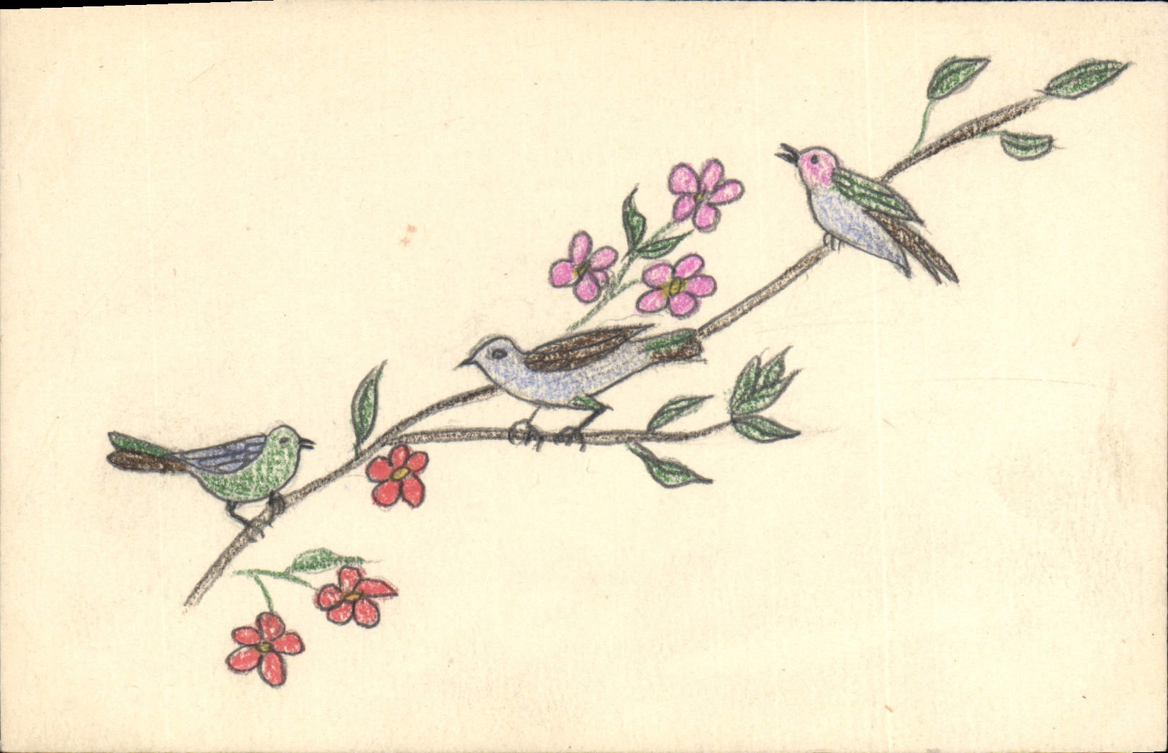 CPA Fantaisie (dessin a la main) Oiseaux