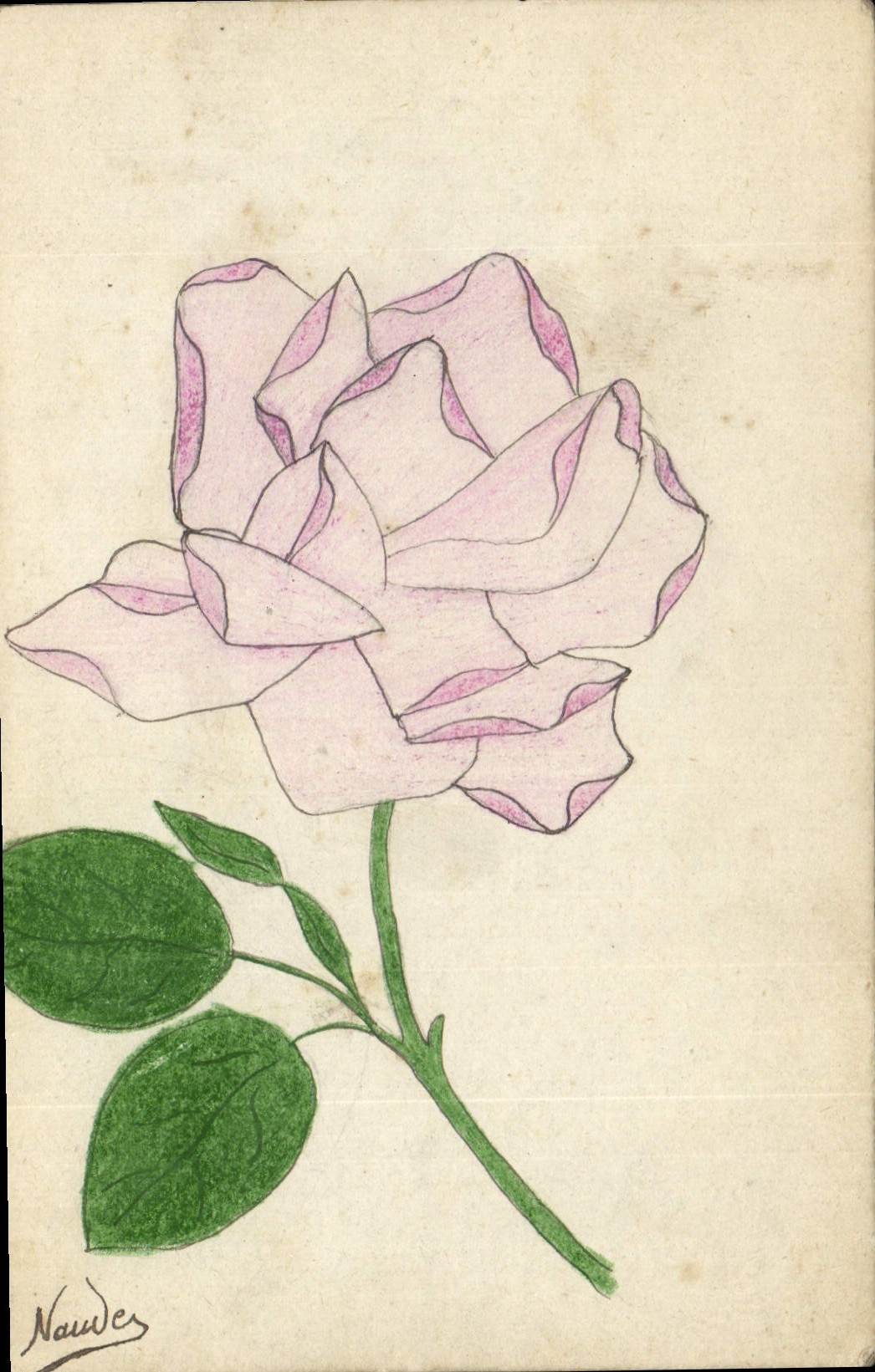 CPA Fantaisie (dessin a la main) Fleurs 