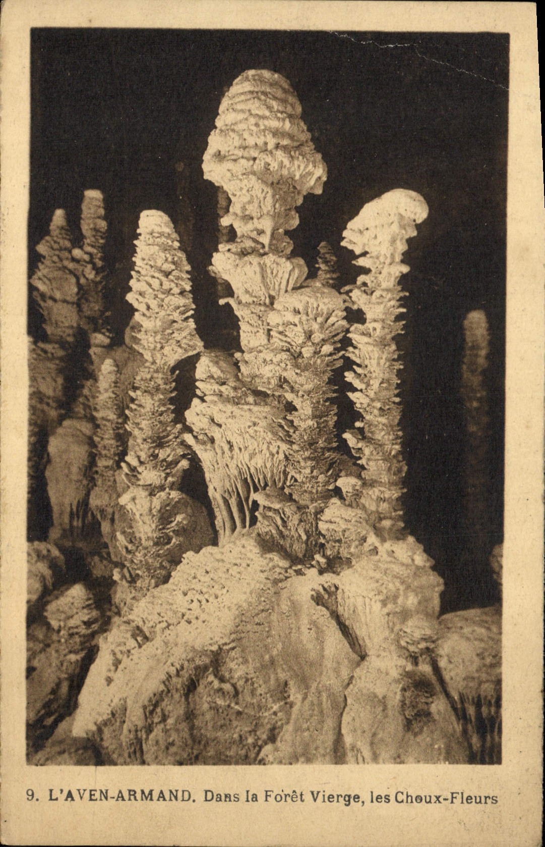 CPA Grotte Grottes L'Aven Armand Dans la forte vierge Les choux fleurs 