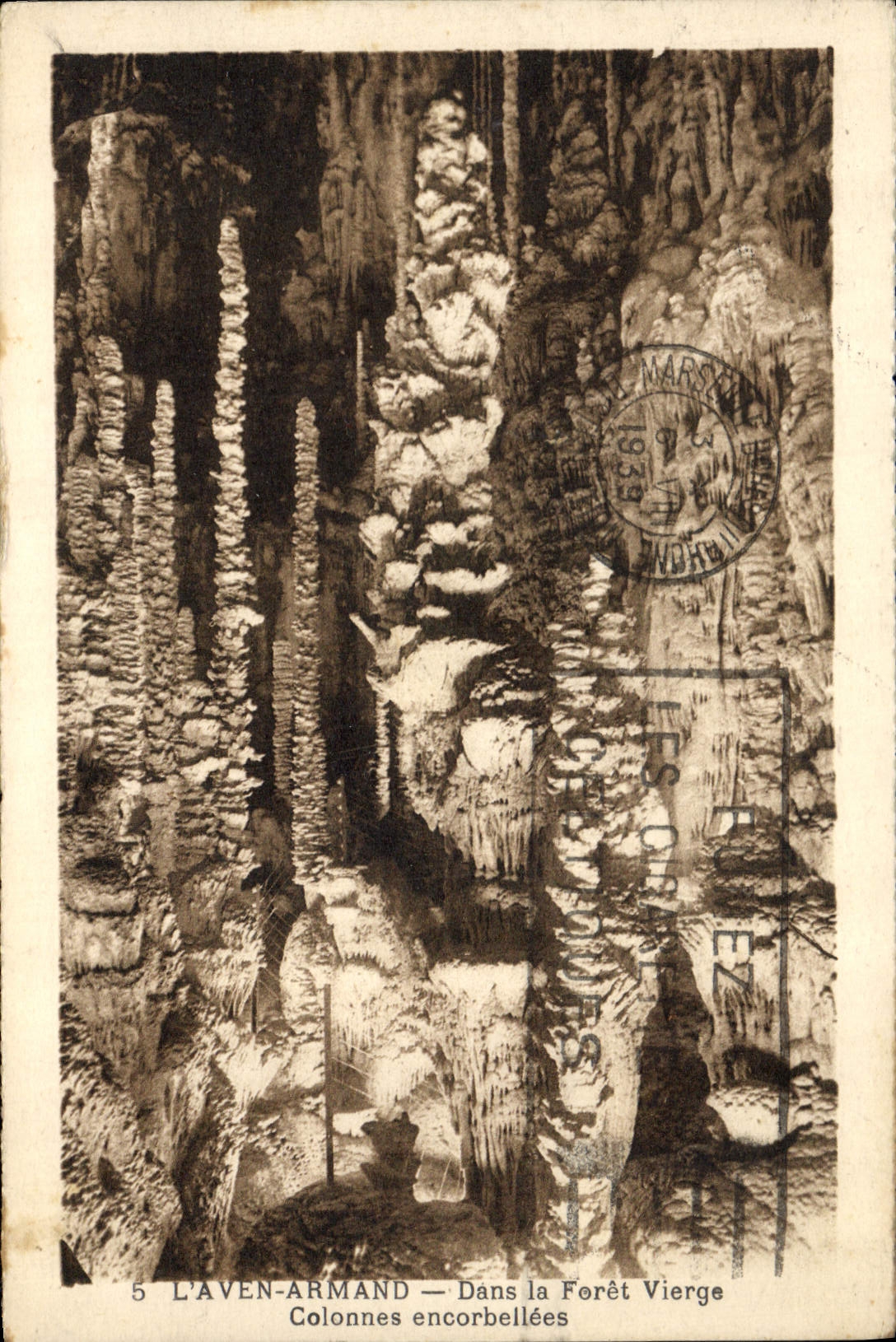 CPA Grotte Grottes L'Aven Armand Dans la foret vierge Colonnes encorbellees