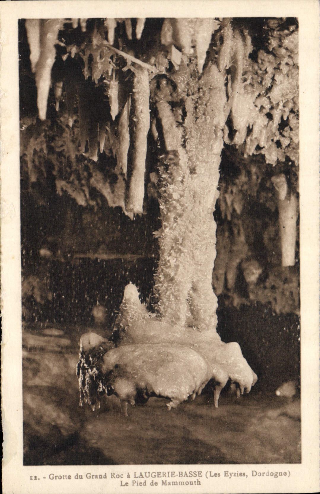 CPA Grotte Grottes Grotte du Grand Roc a Laugerie Basse les Eyzies Dordogne Le pied de Mammouth