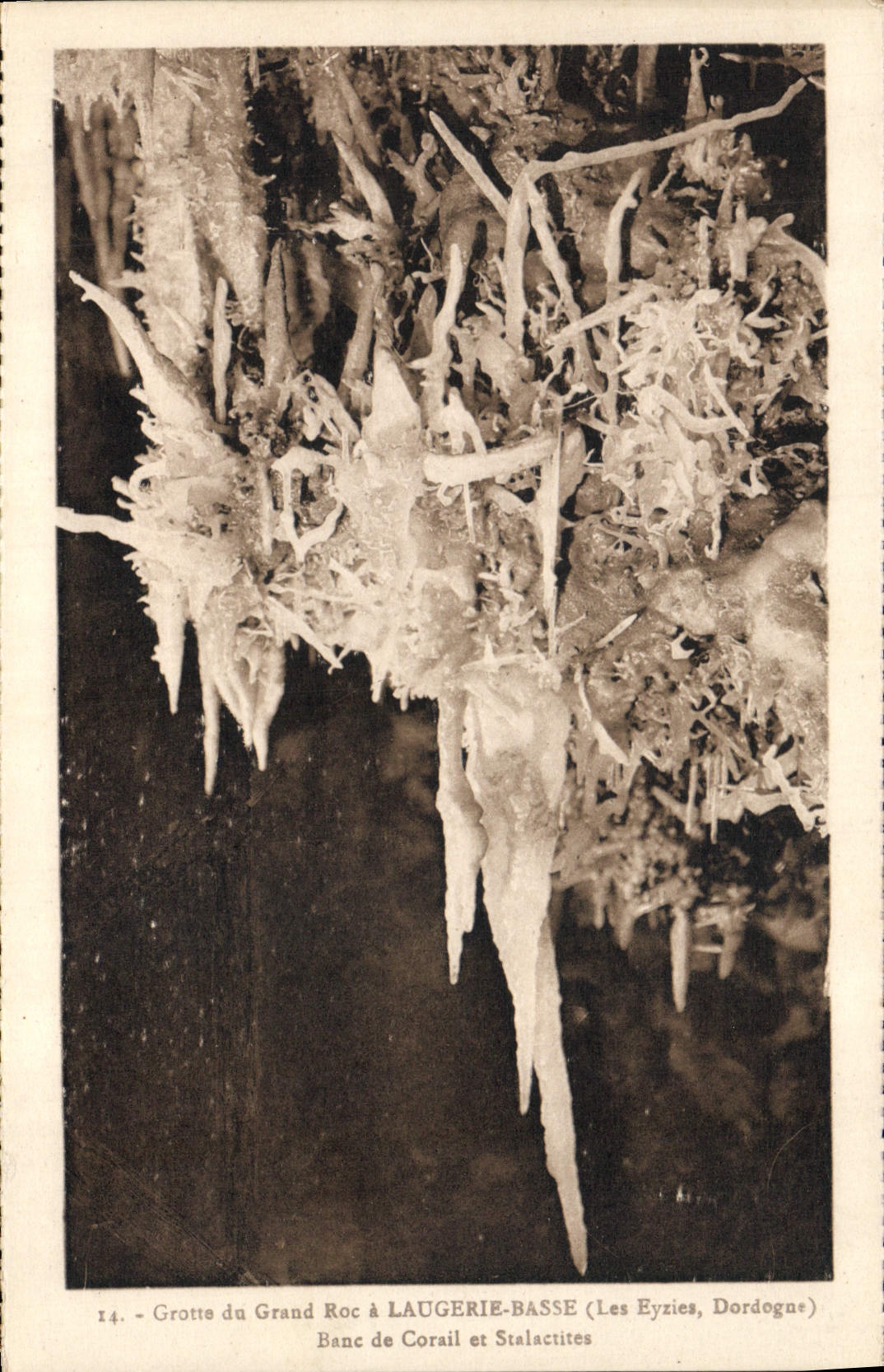 CPA Grotte Grottes Grotte du Grand Roc a Laugerie Basse les Eyzies Dordogne Banc de Corail et stalac