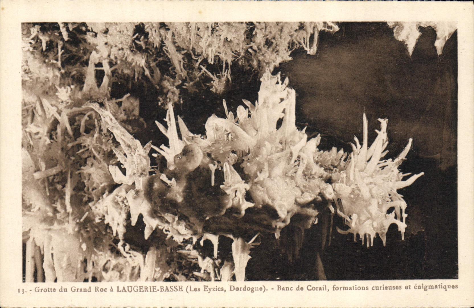 CPA Grotte Grottes Grotte du Grand Roc a Laugerie Basse les Eyzies Dordogne Banc de Corail formation