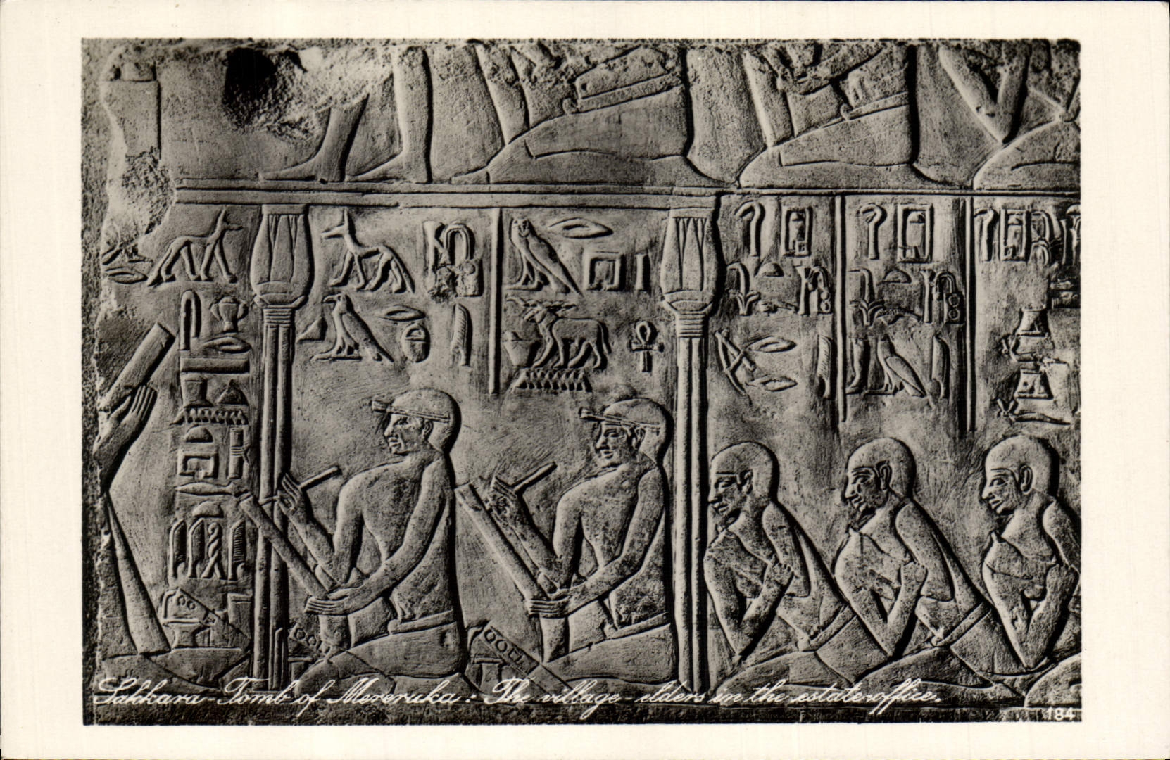 CPA Egypt Egypte Sakkhara