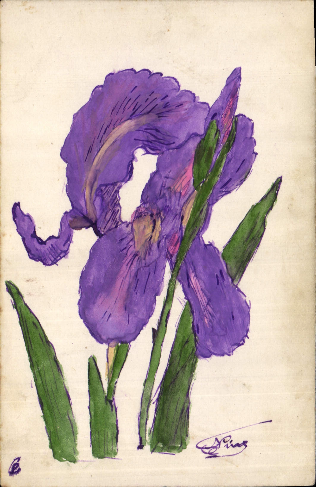 CPA Fantaisie (dessin a la main)  Fleurs 