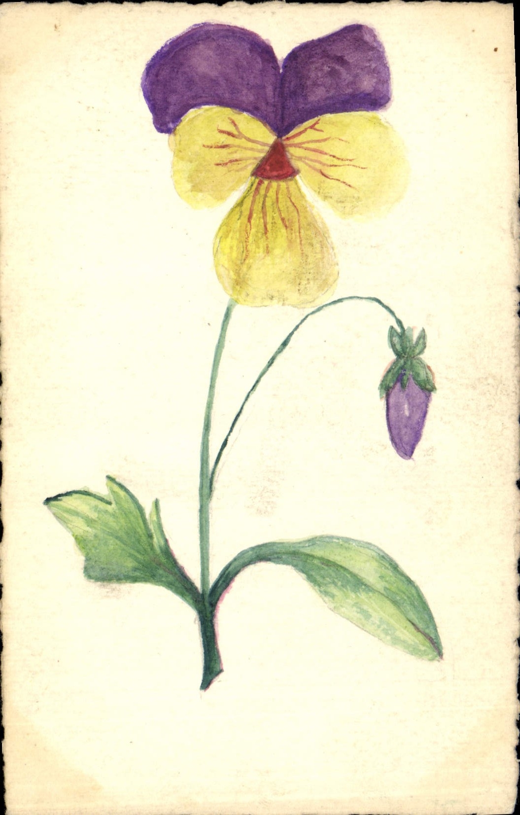 CPA Fantaisie (dessin a la main)  Fleurs 