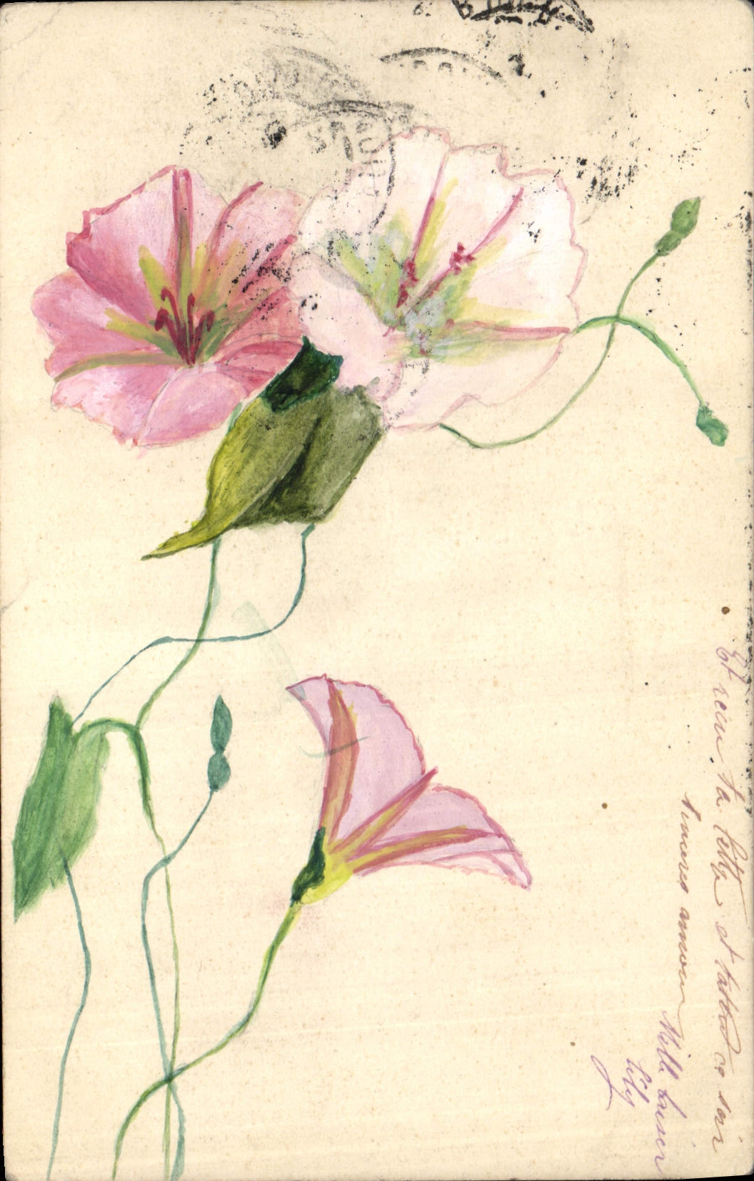 CPA Fantaisie (dessin a la main)  Fleurs 