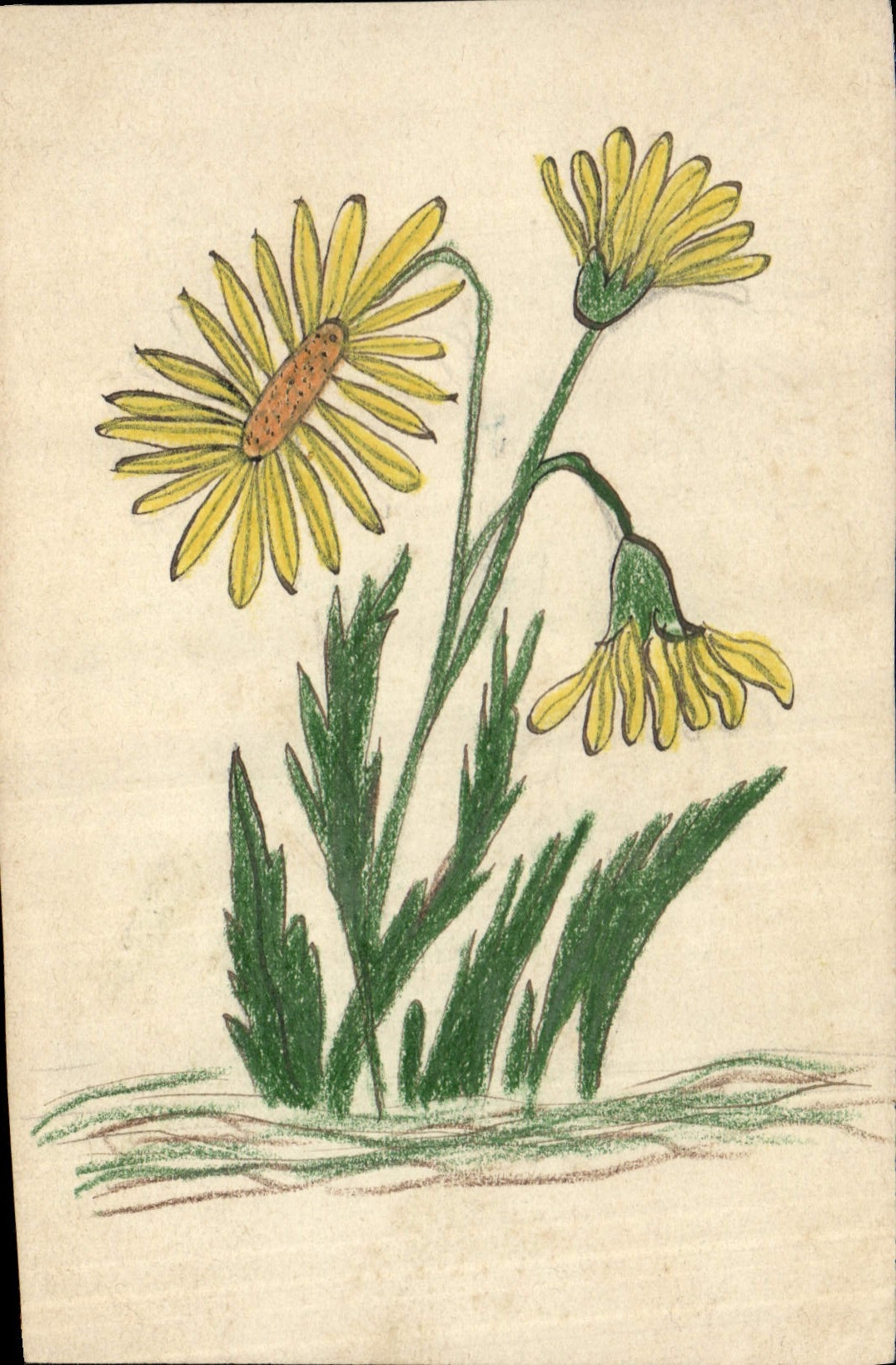 CPA Fantaisie (dessin a la main)  Fleurs 