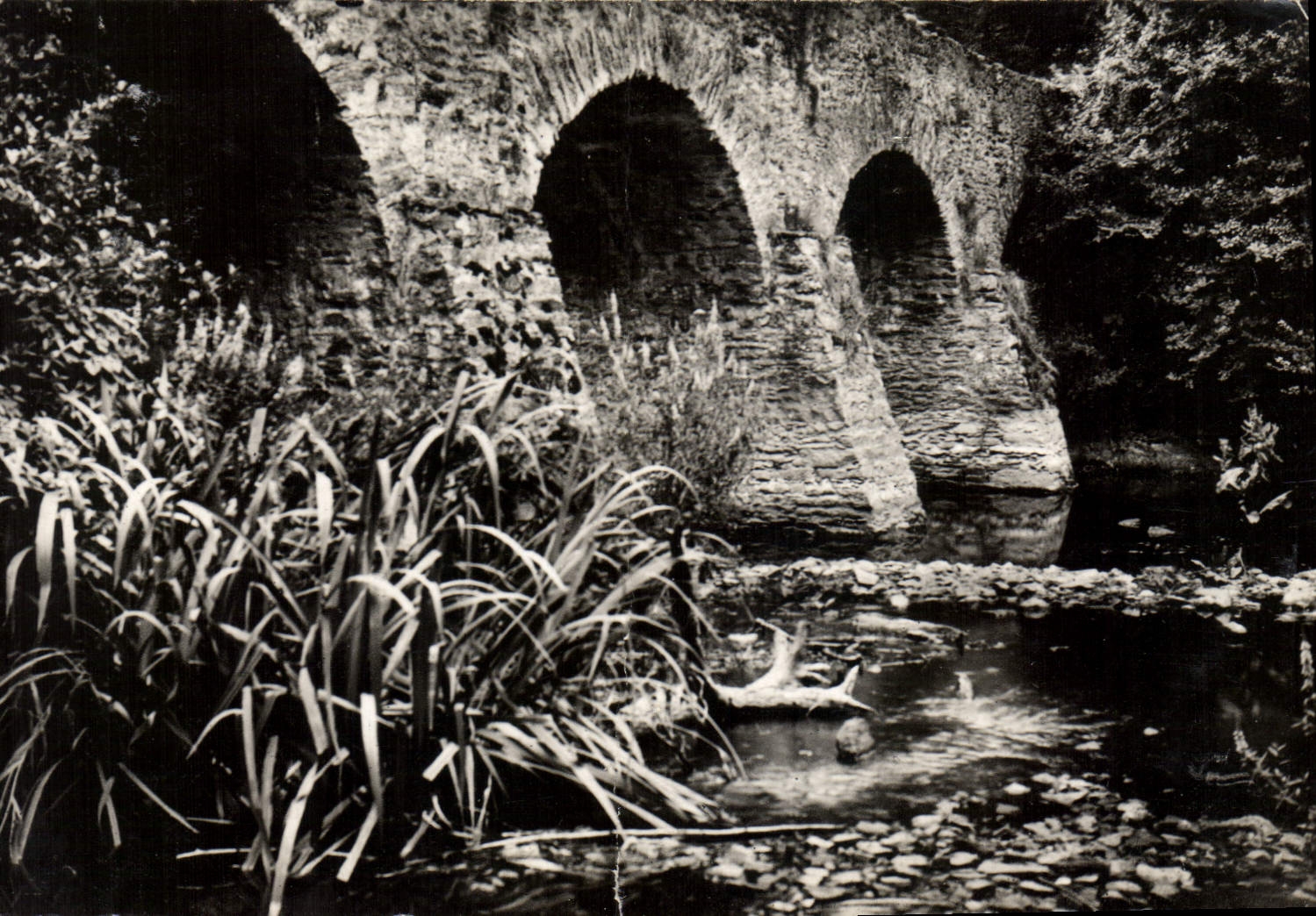 CPM Chateau Chantonnay Vieux pont Moyen Age de Toucheray