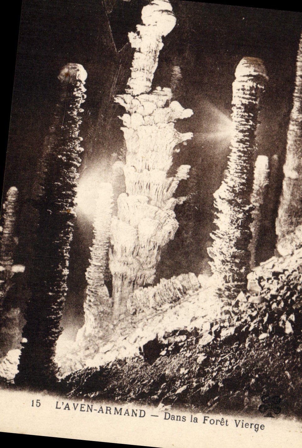 CPA Grotte Grottes L'Aven Armand Dans la foret vierge