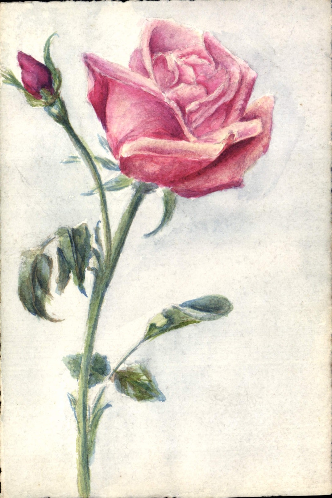 CPA Fantaisie (dessin a la main) Fleurs