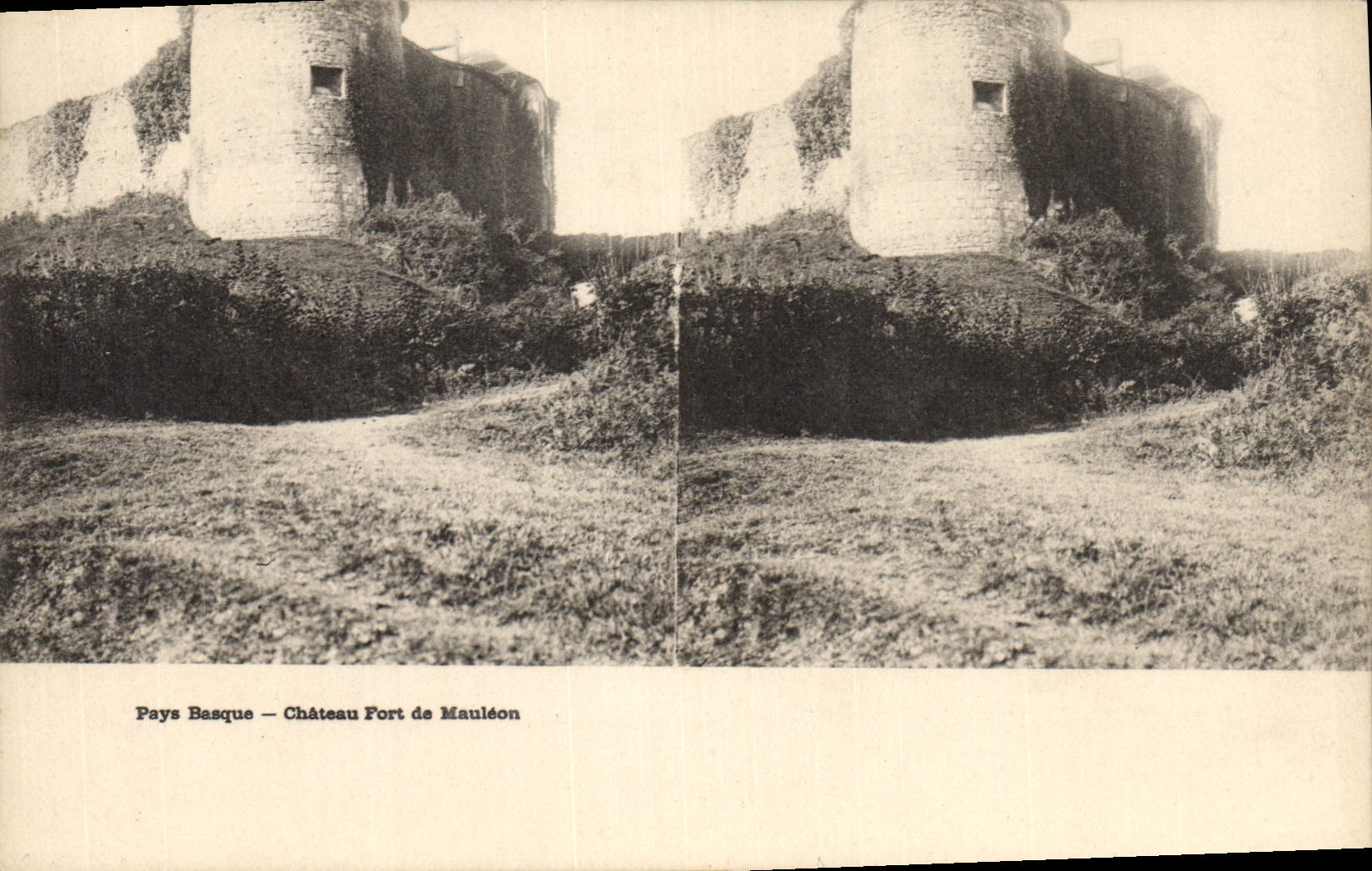 CPA Pays Basque Chateau Fort de Mauleon 