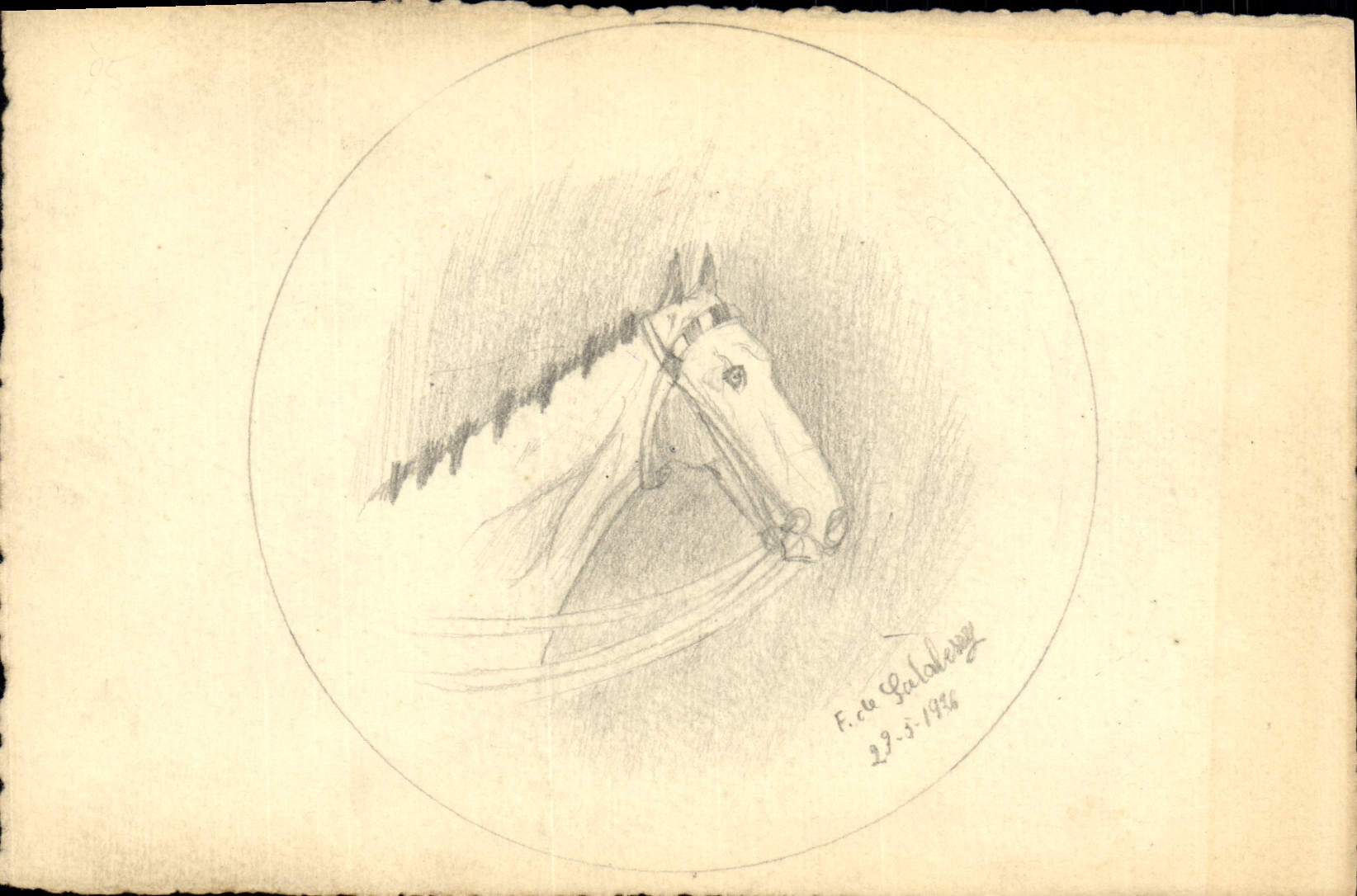 CPA Fantaisie (dessin a la main) Cheval