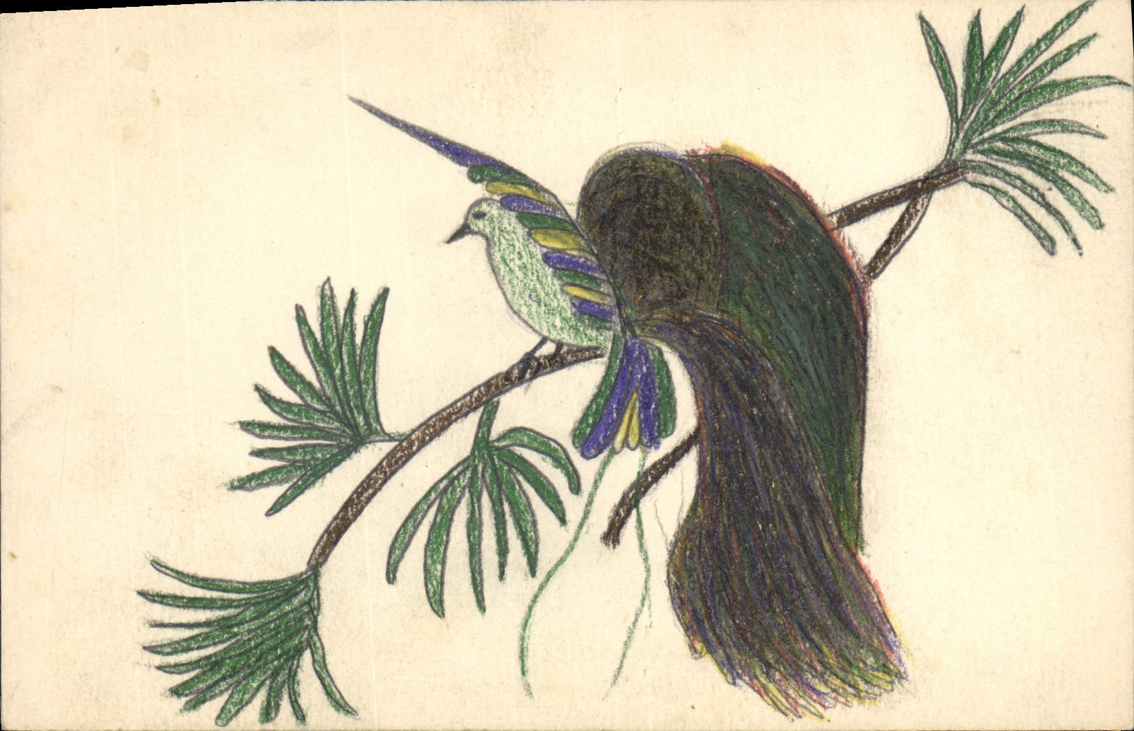 CPA Fantaisie (dessin a la main) Oiseaux