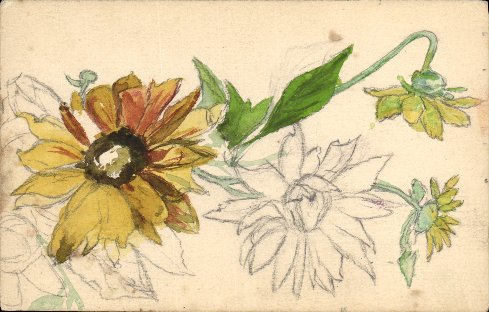 CPA Fantaisie (dessin a la main) Fleurs