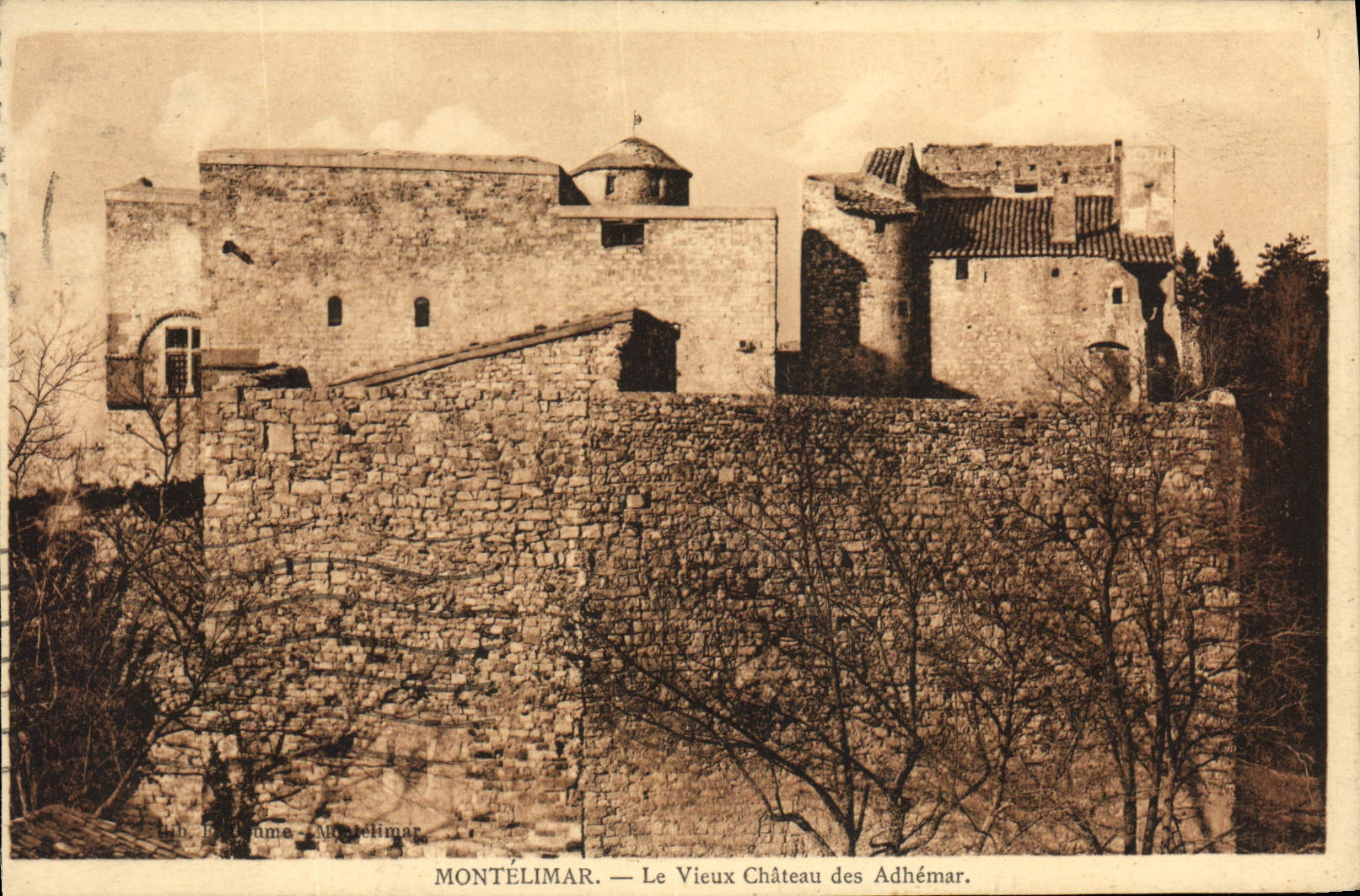 CPA Montelimar Le vieux chateau des Adhemar 