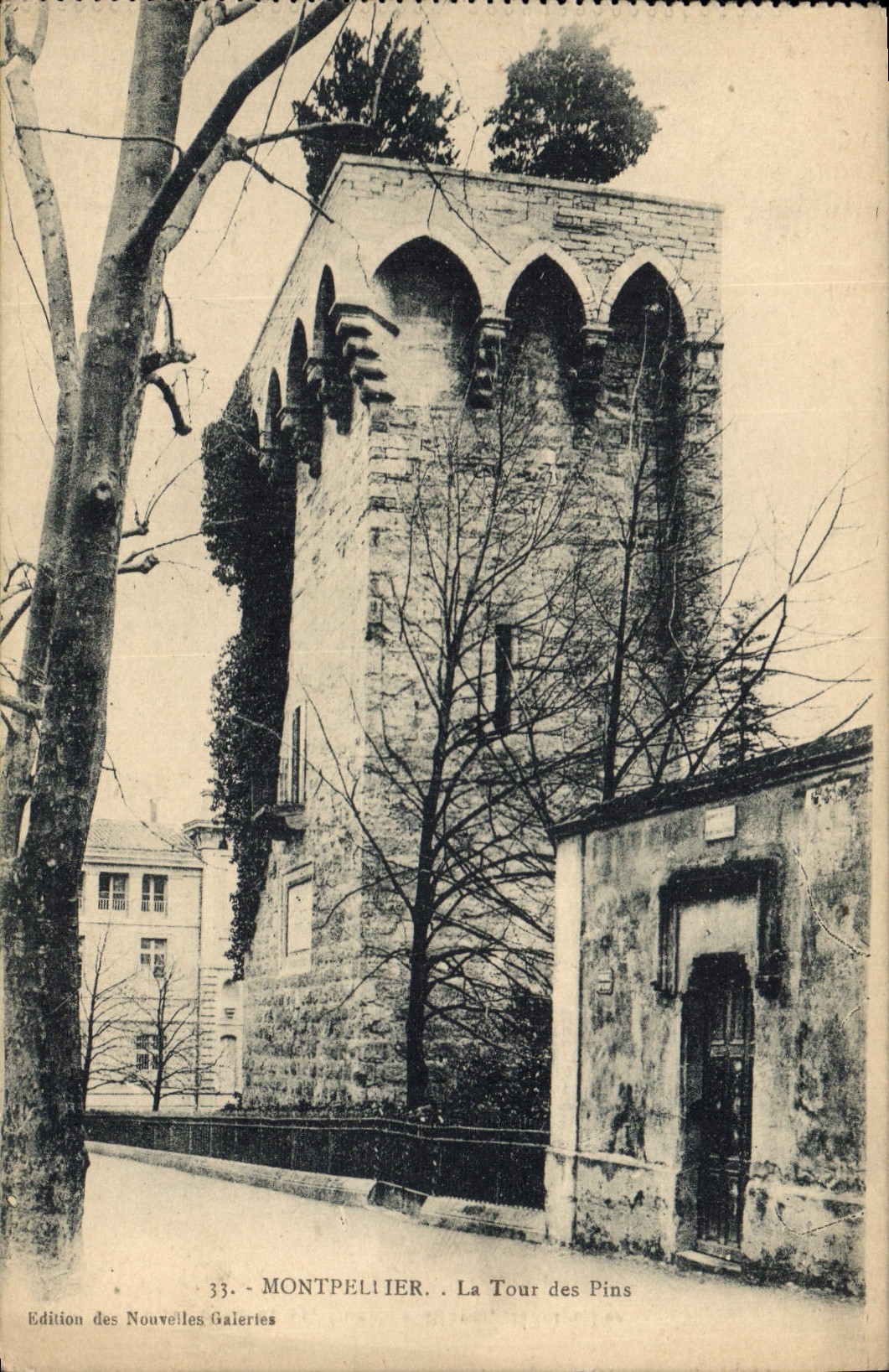 CPA Montpellier La tour des pins