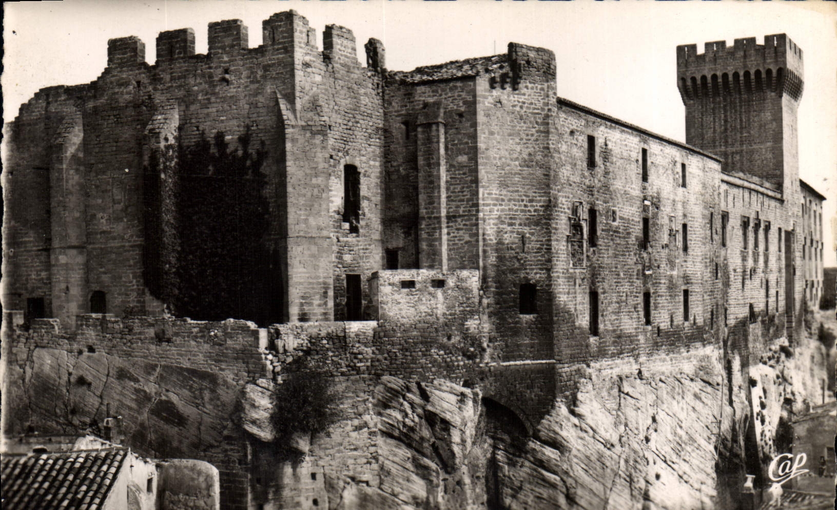CPM Salon de Provence Le chhateau vue d'ensemble 